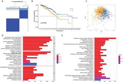 The regulatory roles of T helper cells in distinct extracellular matrix characterization in breast cancer